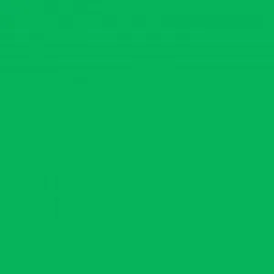 All Purpose Polyester Thread 164 Yards Bright Kelly Green INT200-IT990