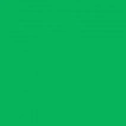 All Purpose Polyester Thread 164 Yards Bright Kelly Green INT200-IT990