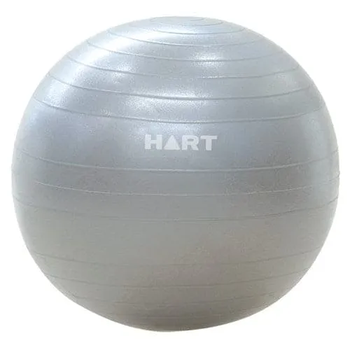 Anti Burst Swiss Ball
