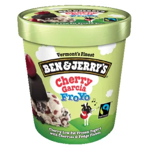 Ben & Jerry's Cherry Garcia FroYo (Pint)
