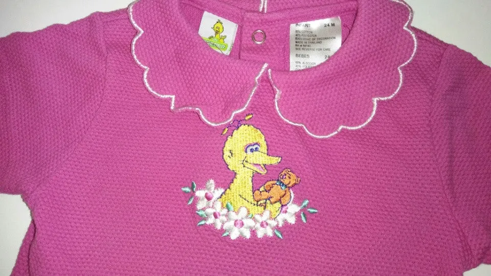 Big Bird Sesame Street Pink One Piece Outfit