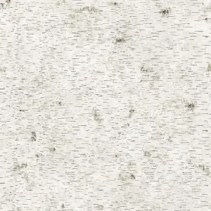 Birchy Barky No Filter Natural Self-Adhesive BI409 Wallpaper
