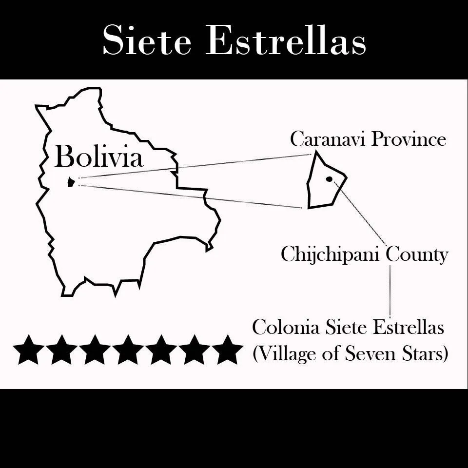 Bolivia Micro-lot: Organic Invalsa Peaberry. Available at Continental (NJ) & Salisbury, MA. NEW ARRIVAL!