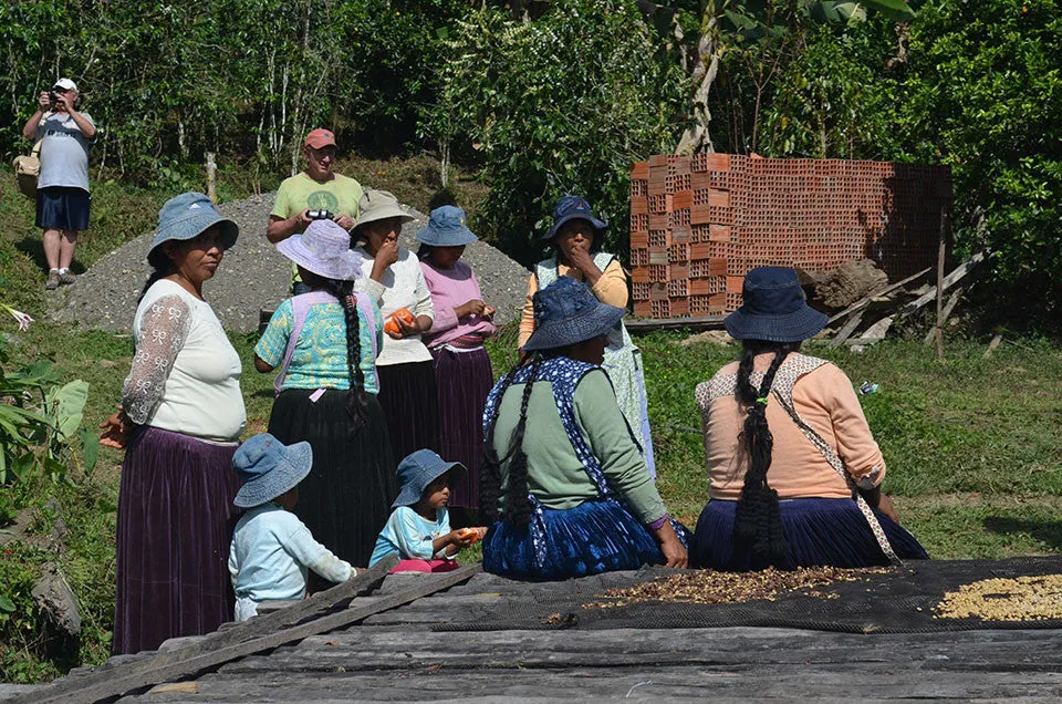 Bolivia Micro-lot: Organic Invalsa Peaberry. Available at Continental (NJ) & Salisbury, MA. NEW ARRIVAL!