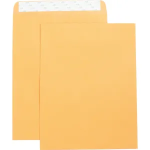 Business Source Self Adhesive Kraft Catalog Envelopes