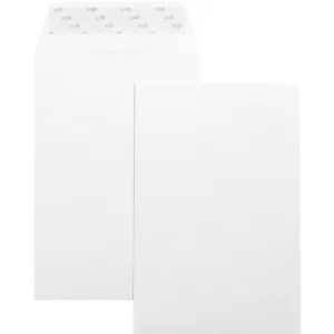 Business Source Self-Seal 6"x9" Catalog Envelopes