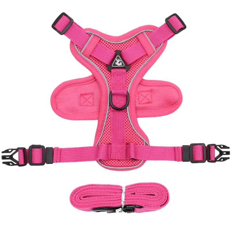 Cat Harness