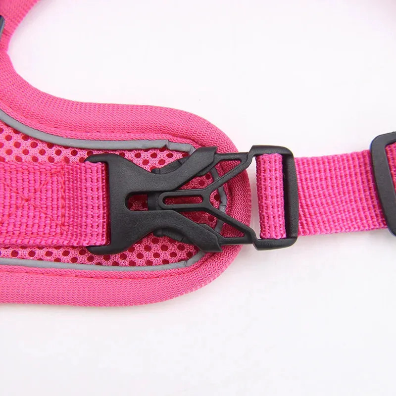 Cat Harness