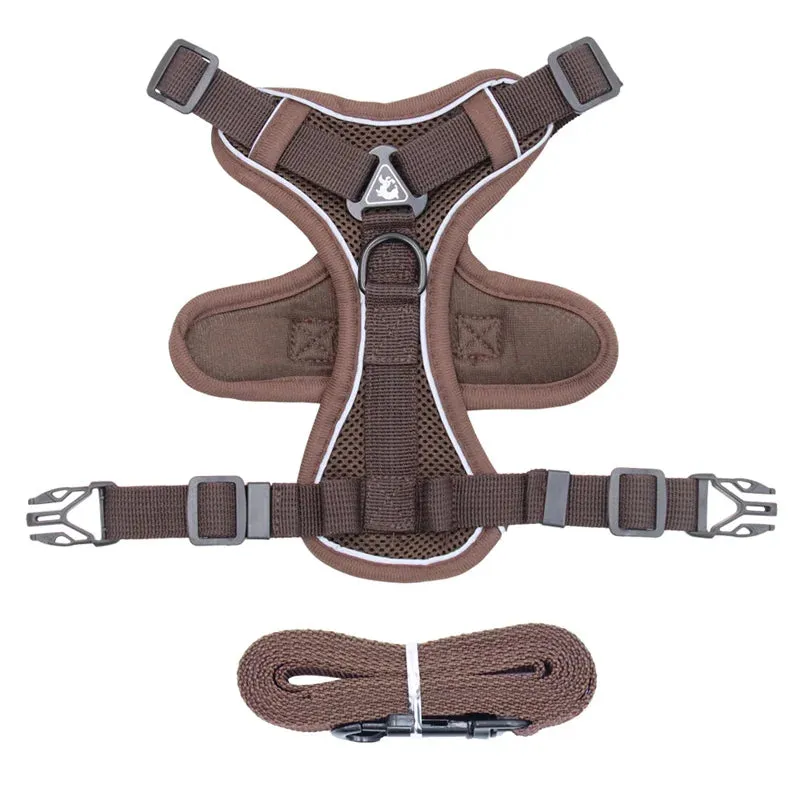 Cat Harness
