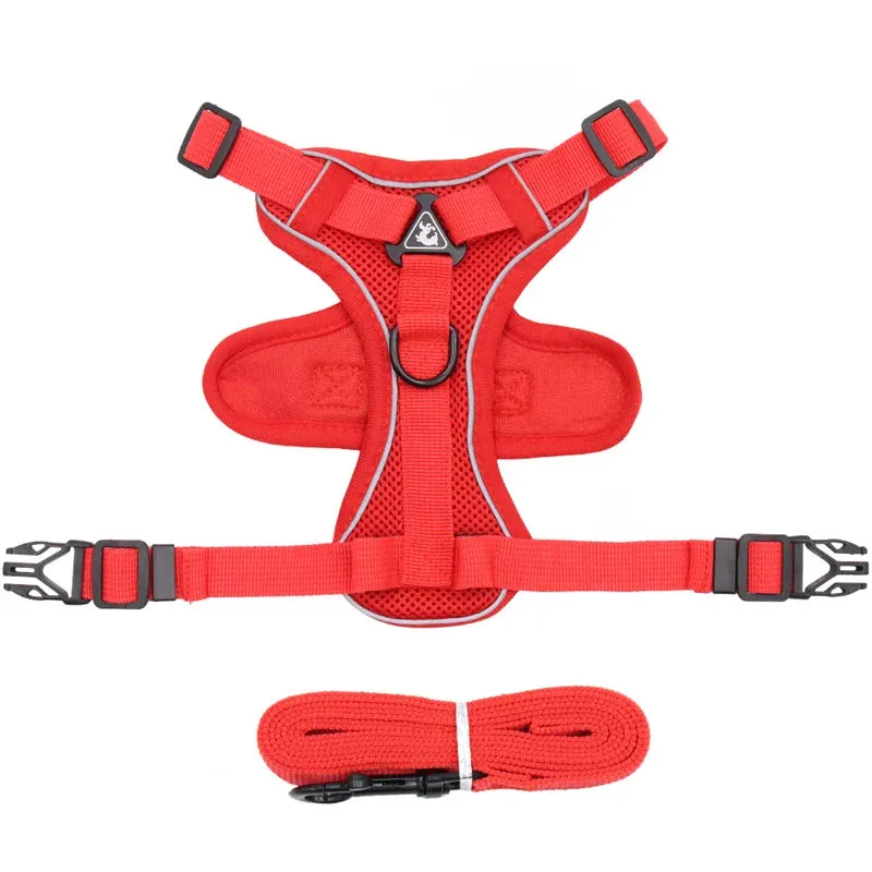 Cat Harness
