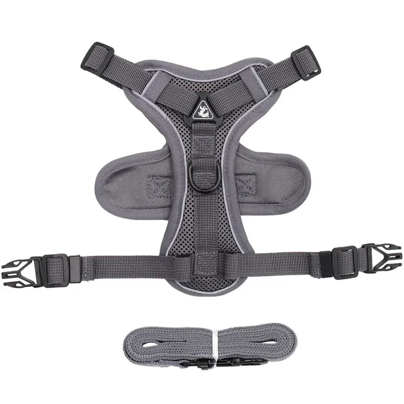 Cat Harness