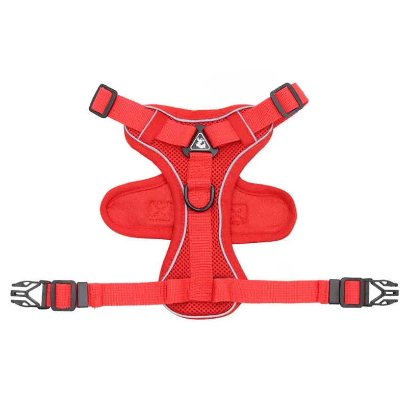 Cat Harness
