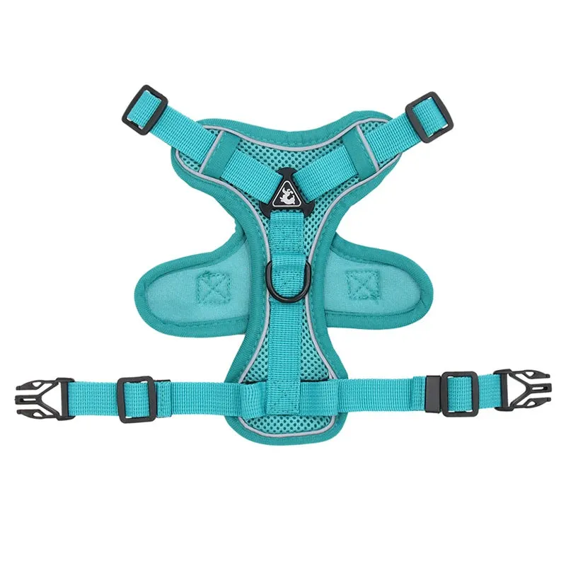 Cat Harness