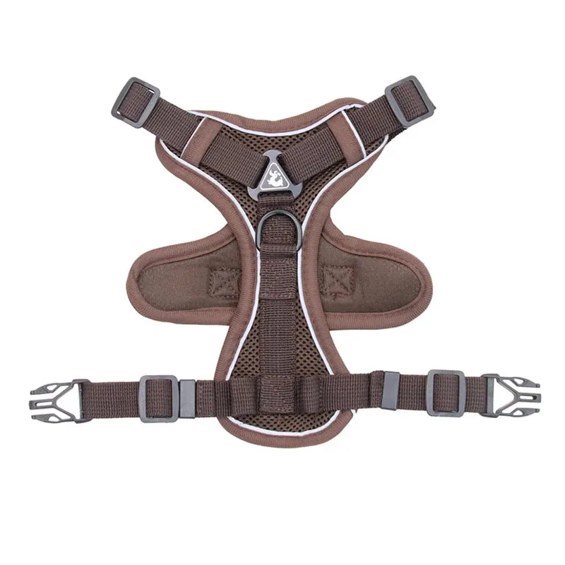 Cat Harness