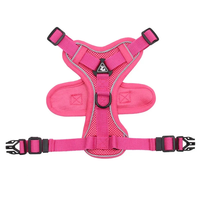 Cat Harness