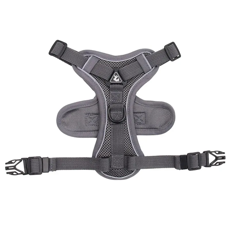 Cat Harness