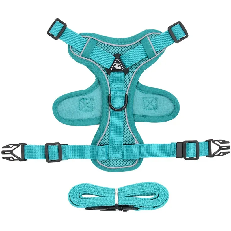 Cat Harness