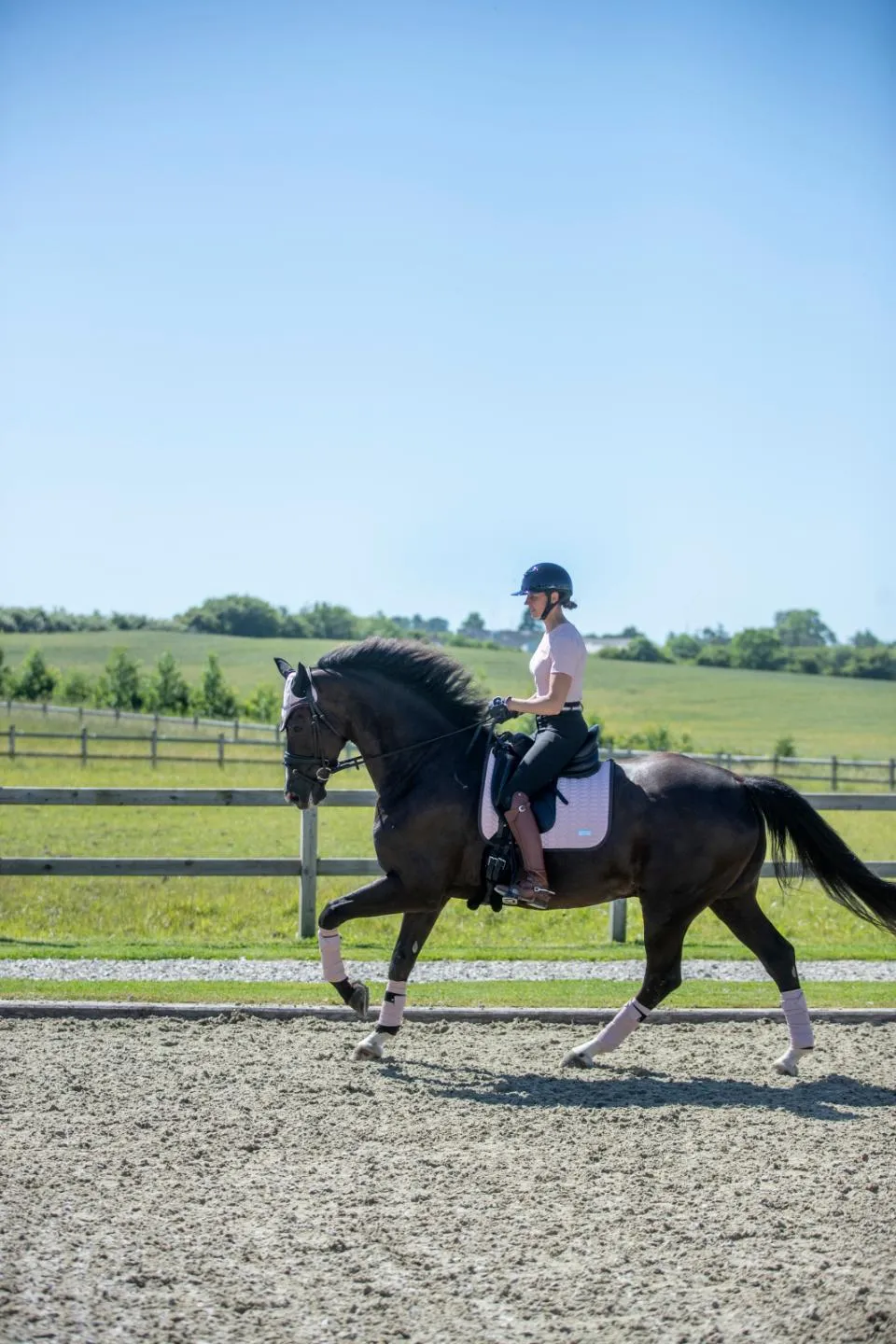 Catago FIR tech Grand dressage pad in Burnished Lilac