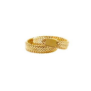 Double Chain Ring