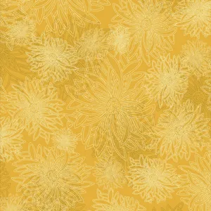 Floral Elements in Sunflower