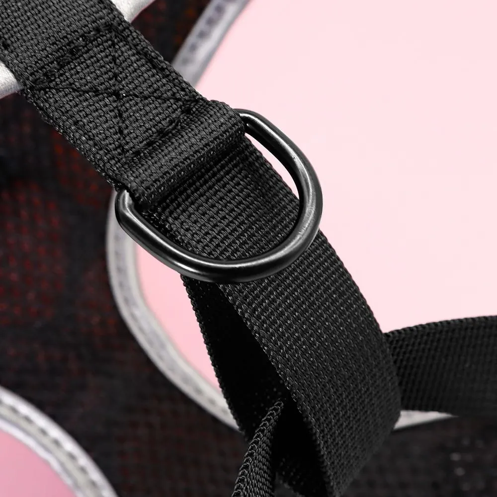 French Bulldog Harness