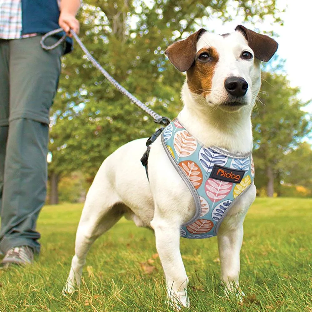 French Bulldog Harness