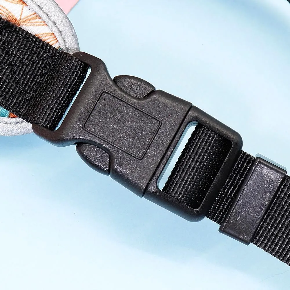 French Bulldog Harness