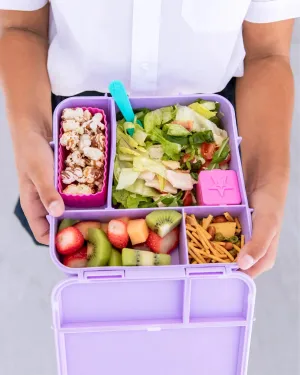 Montiico Bento Plus Lunch Box -  Dusk