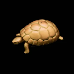 NEW! Tortoise Box by Michael Michaud