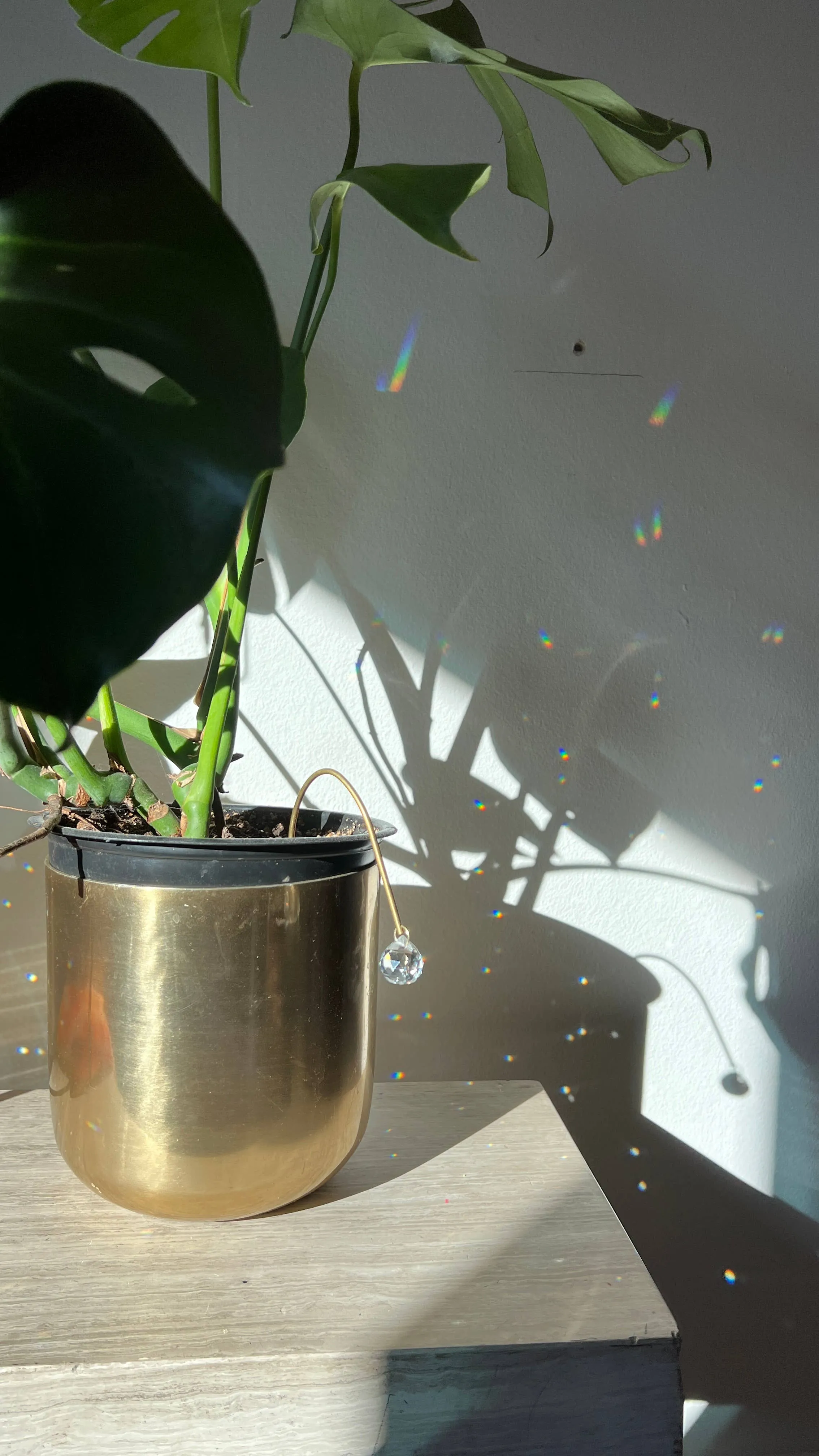 Ombra & Luce - Arched Plant Stake Suncatcher, Indoor Plant Pot Decoration