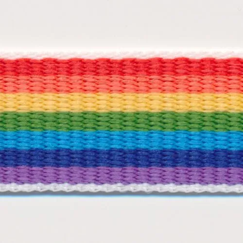 Rainbow Stripe Grosgrain Ribbon #1 Rainbow Mix