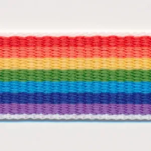 Rainbow Stripe Grosgrain Ribbon #1 Rainbow Mix
