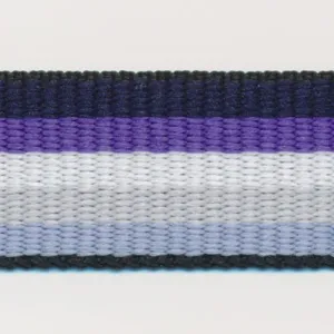 Rainbow Stripe Grosgrain Ribbon #8 Purple Mix