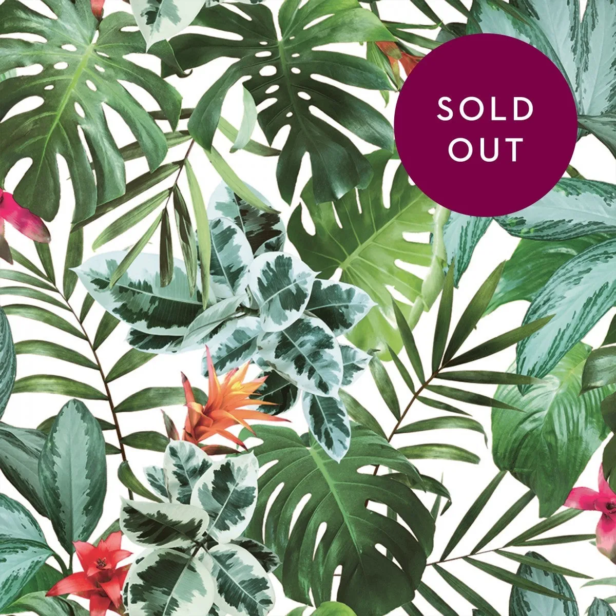 Rainforest  RA537 Self-Adhesive Wallpaper