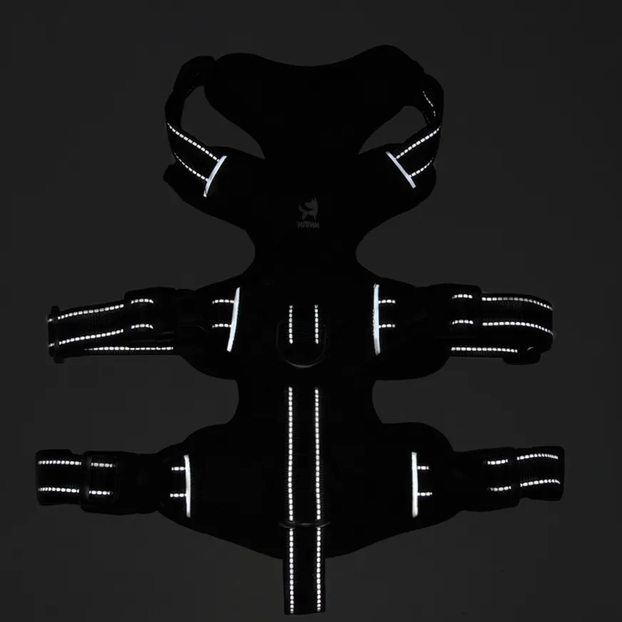 Reflective Dog Harness – Comfort, Control, and Safety for Active Dogs