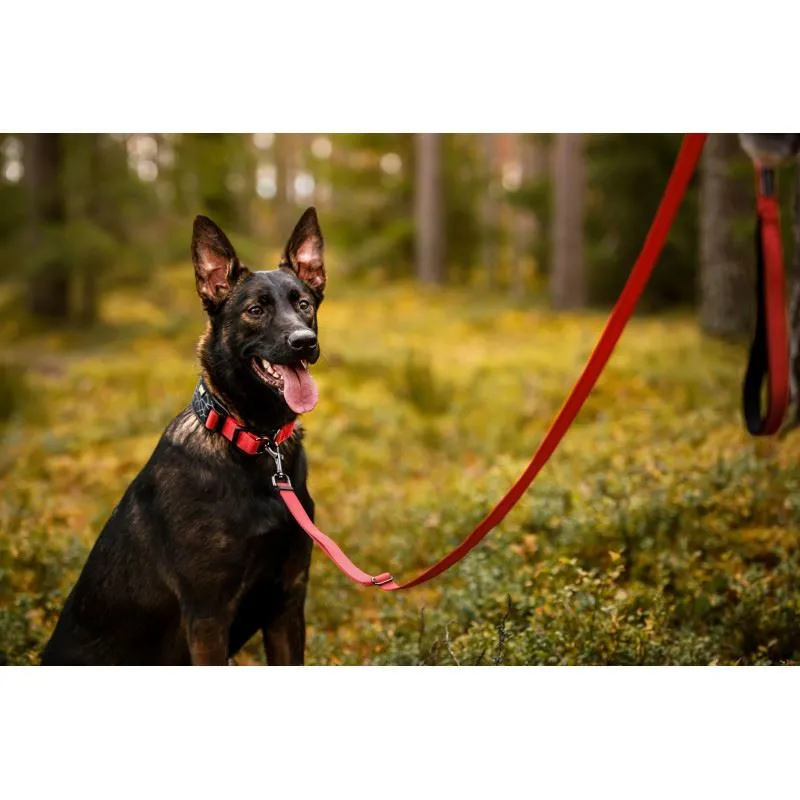 Rukka Pets Cube Soft Safety Lock Dog Collar