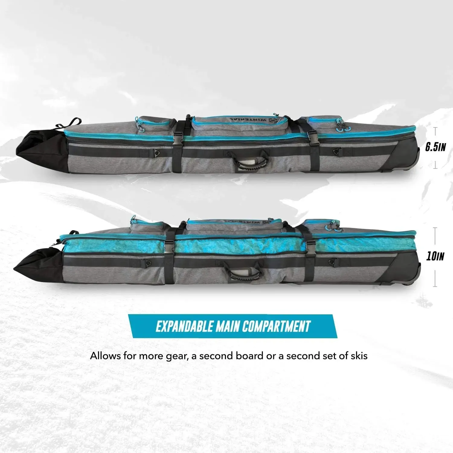 Snowboard and Ski Bag