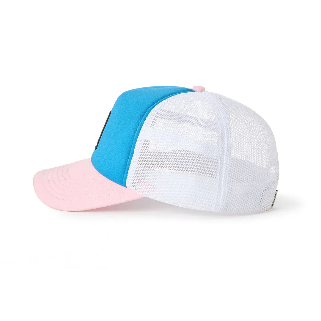 Street Sign Foam Trucker Hat Blue/Pink *pre-order*