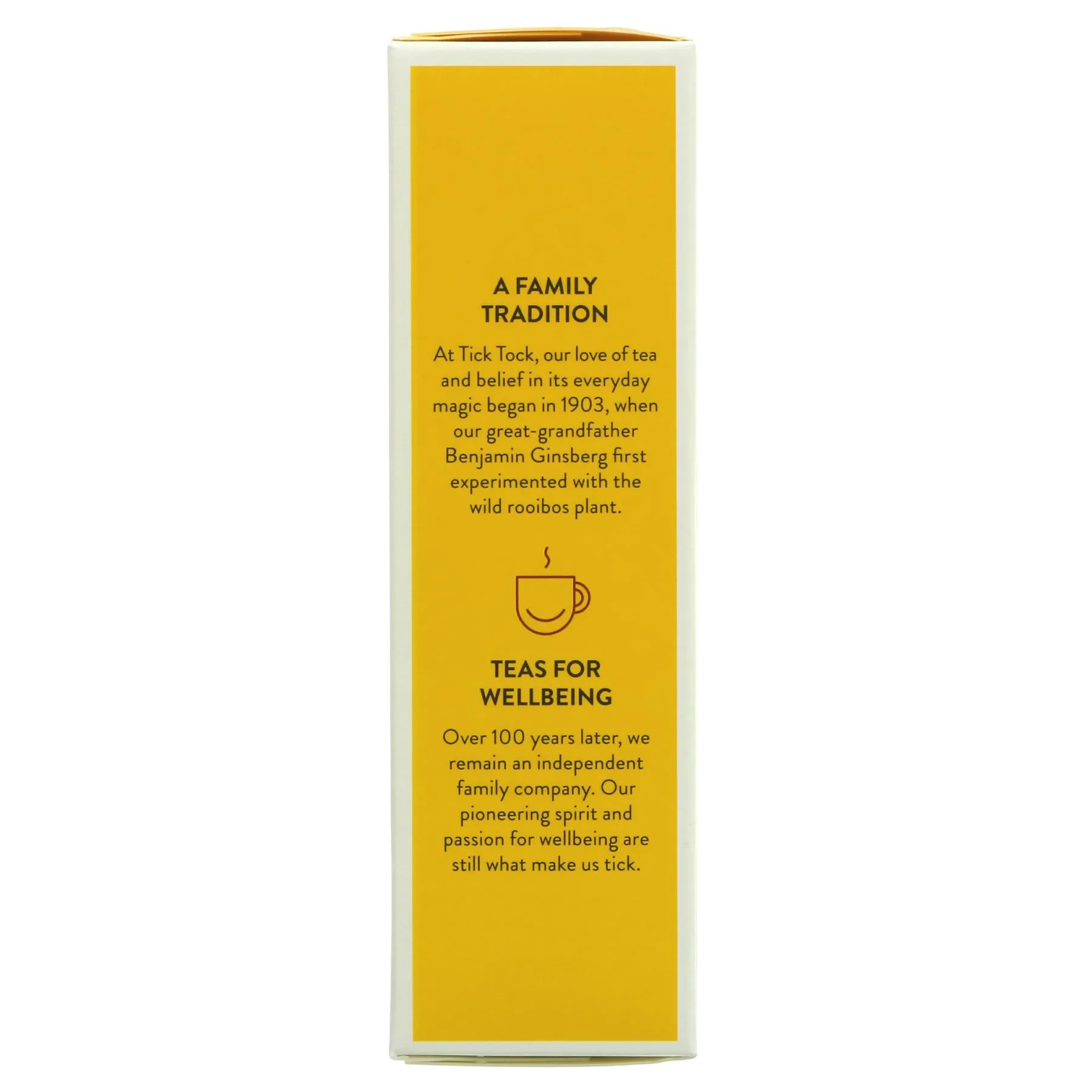Tick Tock | Ginger Boost - Ginger, Lemon, Elderberry | 20 bags