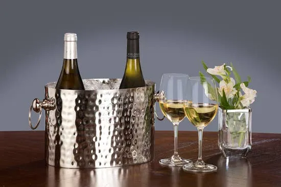 Two Bottle Wine Chiller