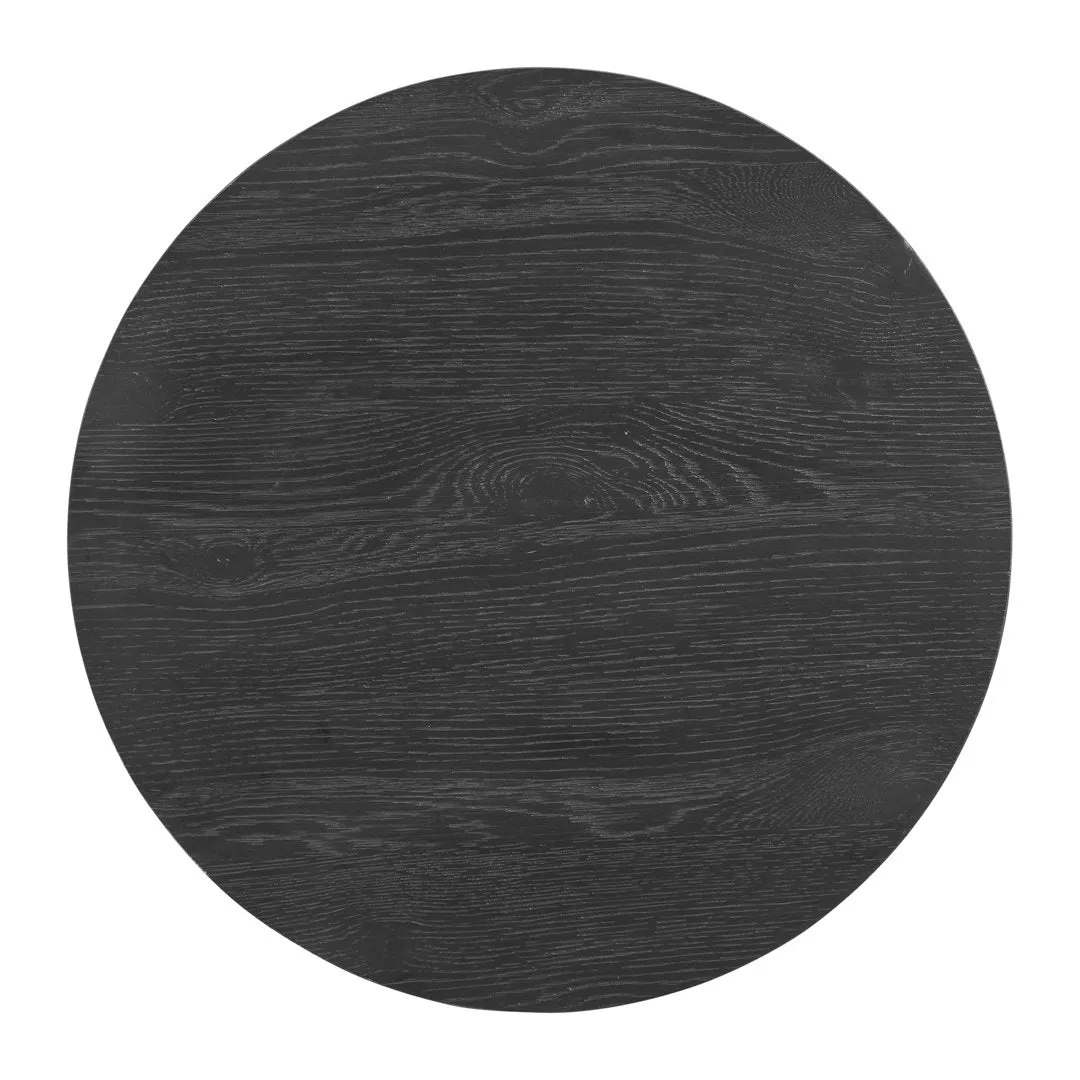 Wiese 22'' tall End Table The Twillery Co.® Color: Black