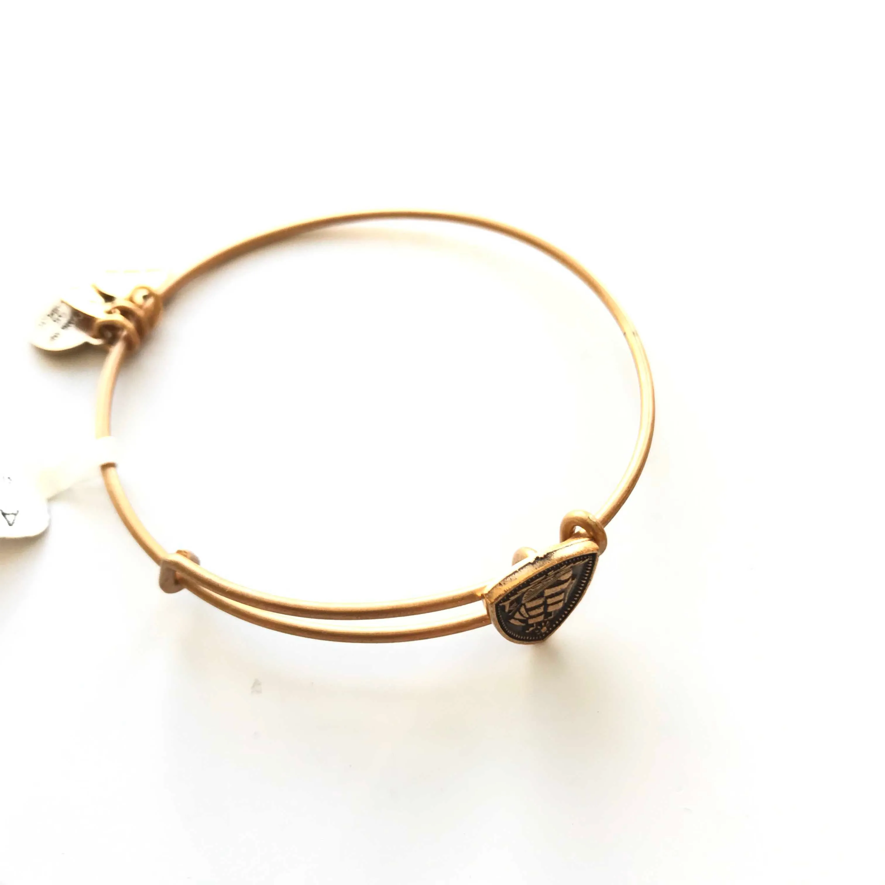 Women's Alex And Ani | Steady Vessel Slider Bracelet | Raf Gold